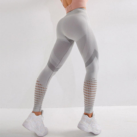 Seamless Opus Leggings