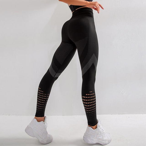 Seamless Opus Leggings